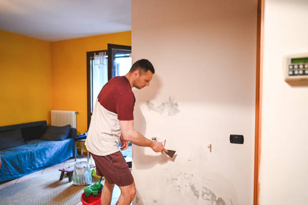 Best Mold Removal Specialists  in West Carthage, NY